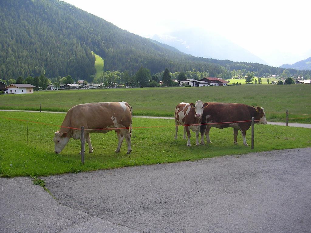 Gaestehaus Bodnerlehen Schoenau am Koenigsee Quarto foto